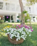 Bonavida Apartments