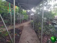 Perla Verde Hostel y Tours en la Zona فنادق في 