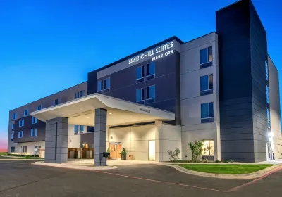 SpringHill Suites Detroit Dearborn Các khách sạn gần Science Learning and Research Center