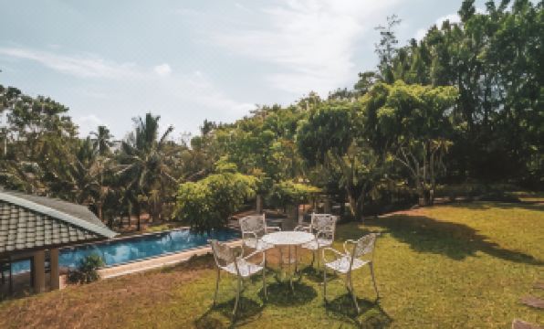 Airport Green Olive Villa - Housity