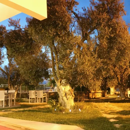 Ege Apart & Hotel