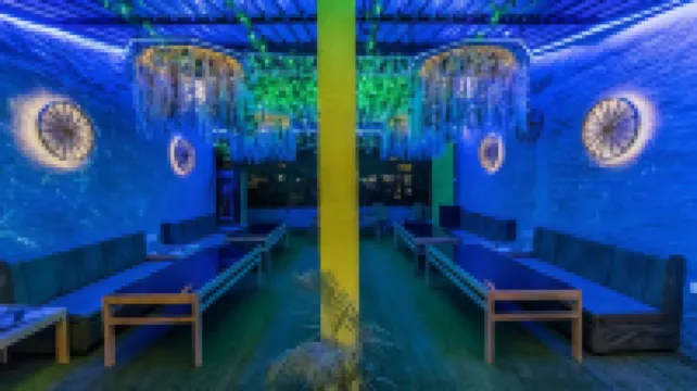 Big Brother Hostel Hotel