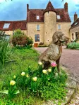 Manoir de La Barre Ceton - Homestays