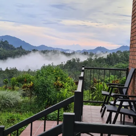 Sabah Tea Garden