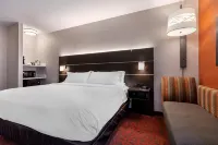 Holiday Inn Express Metropolis