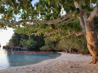 Harmony Bay Resort and Dive Center