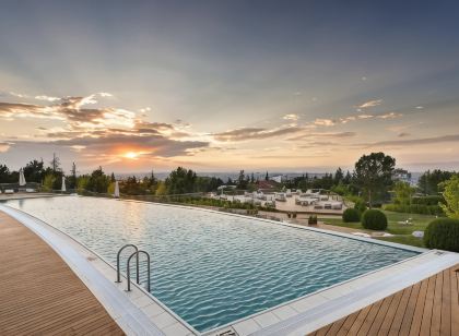 埃斯基謝希爾巴德里克溫泉塔斯格飯店