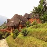 Trackers Safari Lodge Bwindi فنادق في 