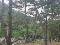 Jecheon Gomuseorisan Lodge Pension Hotels near Deogjusa