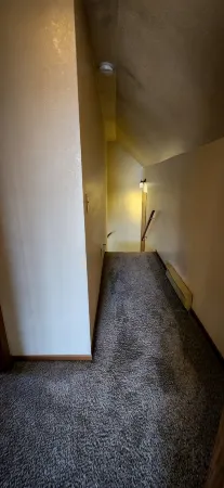 Vibrant 2 Bed Located Downtown/ Closing to Soaring Eagle/CMU