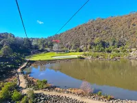 كومودور ريجينت لونسستون