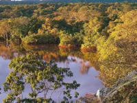 Amazon Dolphin Lodge - Homestays