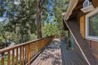 Central Heat & Air, WiFi, Wall Mural and Fully Fenced Minutes from Downtown
