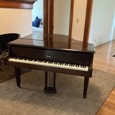 Beautiful Historic Home on Wittenberg Campus. Peaceful Setting w/ Grand Piano.