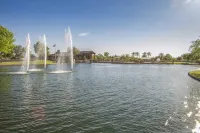 Lovely 3BR ranch home in Maricopa resort community w/ pools, courts, fitness ctr
