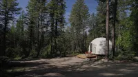 Red Owl Retreat: The Peaks Geodesic Dome