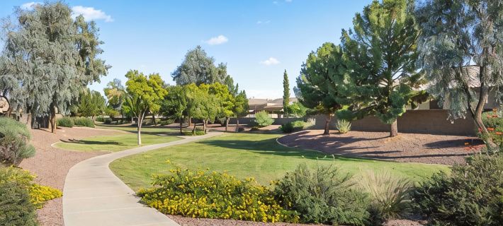 5Br Oasis - Heated Pool & Hot Tub - Sleeps 12 - Near Spring Training Hotels in Surprise
