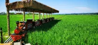 Guangdong Korean Homestay
