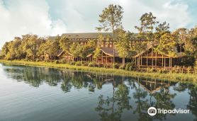 Copper Creek Villas & Cabins at Disney's Wilderness Lodge