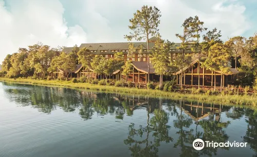 Copper Creek Villas & Cabins at Disney's Wilderness Lodge - บ้านพักหลังเล็ก
