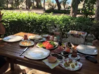 Pekcan Otel Hotels in Burhaniye