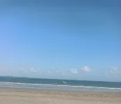 文昌南國ウィンダムガーデンホテル - ビーチサイド