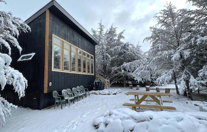 Modern Cabin. Communal Sleeping - 2 Queen Beds + Full Trundle