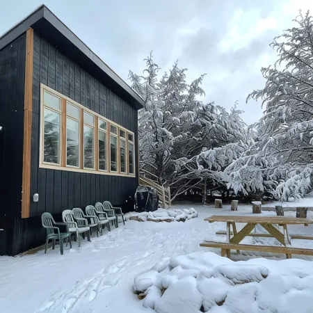 Modern Cabin. Communal Sleeping - 2 Queen Beds + Full Trundle
