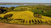 Lakeside new direct lakeside location lakeside terrace, bathing lake, biosphere wifi - Homestays