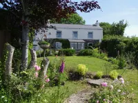 Vine Cottage Hotels in Par