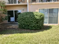 Large 1Bd, 1BA Ocean Front Complex, Ground Floor, Free Wifi, Hdtv, Large Pool - Wi-Fi