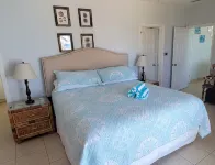 BeachPlumVilla - Snorkeler's Paradise
