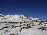 Mé-Mé Little Houses (Butters - Serra da Estrela)