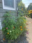Stunning 3-Bedroom, 2-Bath Home w/ Attic – 38 Minutes from NYC by Train - Wifi