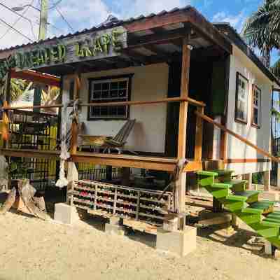 Gumbo Limbo's Dreaded Grape Cabana - Steps from Ocean, Free Bikes, Free WiFi Hotel Exterior