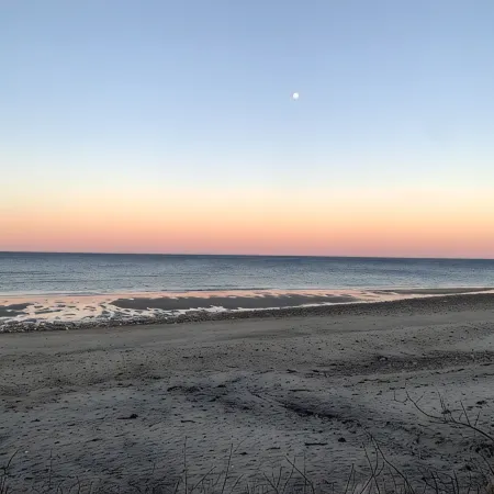 Cape Cod Loft - Near Beaches & Canal