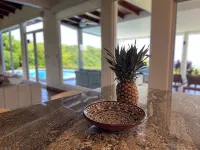 Hillside Treasure 4 BR 3.5 Bath Amazing Views of Playa Hermosa - 3-Star