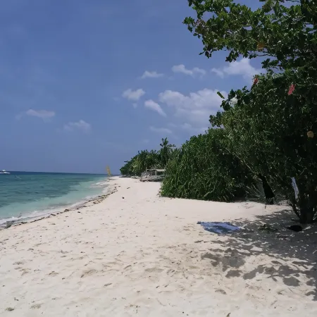 Dolphin House Resort Moalboal