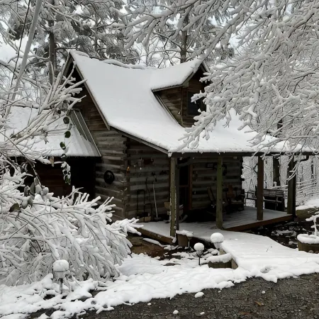 1800's Original Cozy Romantic Cabin For 2 Or The Family