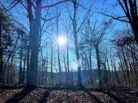 Modern, family-friendly, nature packed getaway - 무료 와이파이