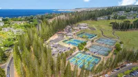 The Most Gorgeous OV Villa in Kapalua Sleeps 6 - WiFi