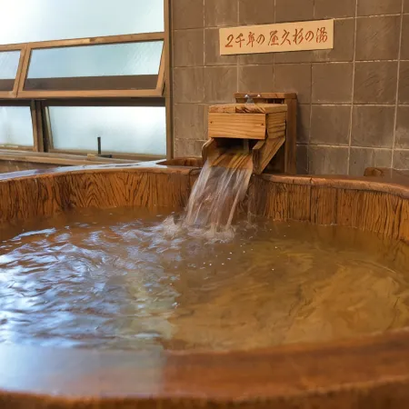 Hotel and Spa Hanamizuki