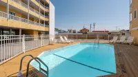 Dolphin Kisses @ Beach Harbor CondosB Bldg" - New in 2024. Linens Included! - 2-Star