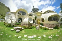 Wifala Harmony Hotel - Pools