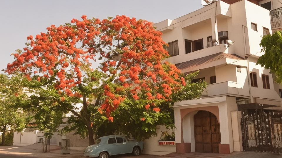 Sneh Deep Guest House