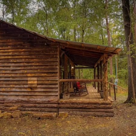 Pine Twist Cabin
