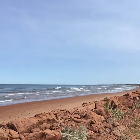 Beach House Across from Wild Harbour Beach with Spectacular Ocean View!