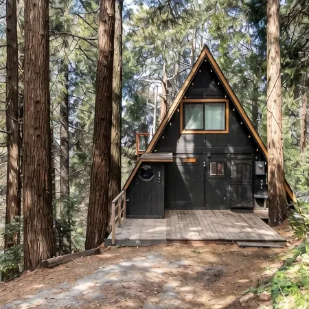 Cozy A-Frame High in The Tree Tops