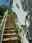7 bedroom Beautiful, Clean - Coconut Grove - บังกะโล