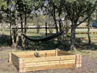 Charming 3-bedroom house in delightful Wolfe City with AC, WiFi - 3 étoiles
